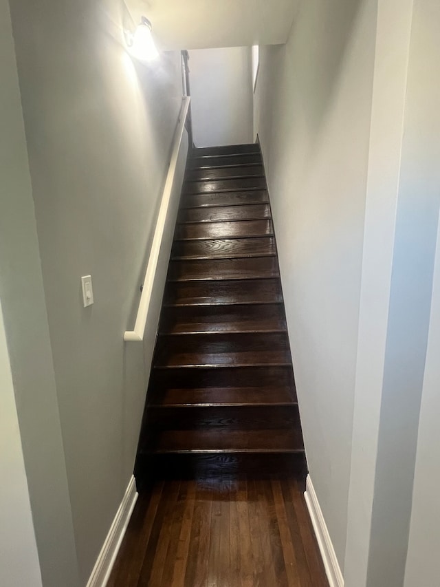 stairs with hardwood / wood-style floors