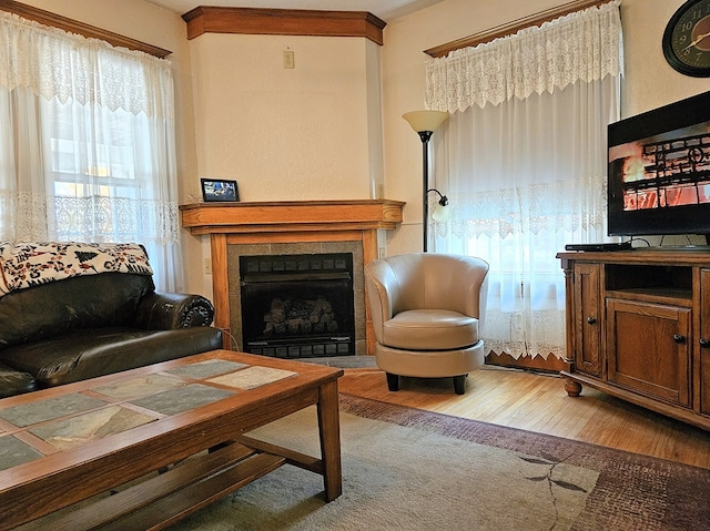 interior space featuring light hardwood / wood-style flooring, a fireplace, and plenty of natural light