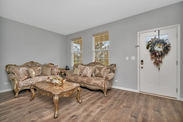 living room with hardwood / wood-style floors and plenty of natural light