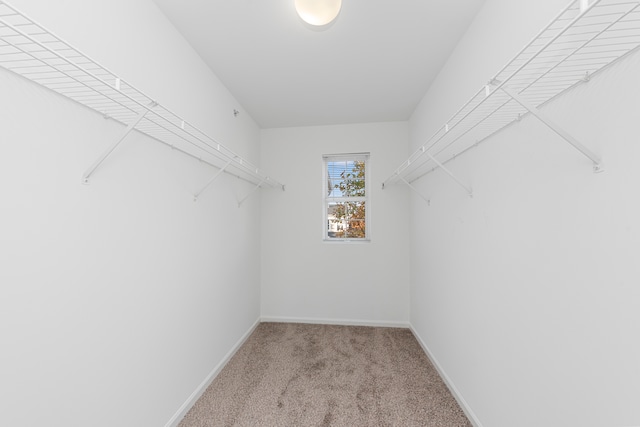 walk in closet with light colored carpet