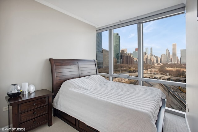 carpeted bedroom with multiple windows