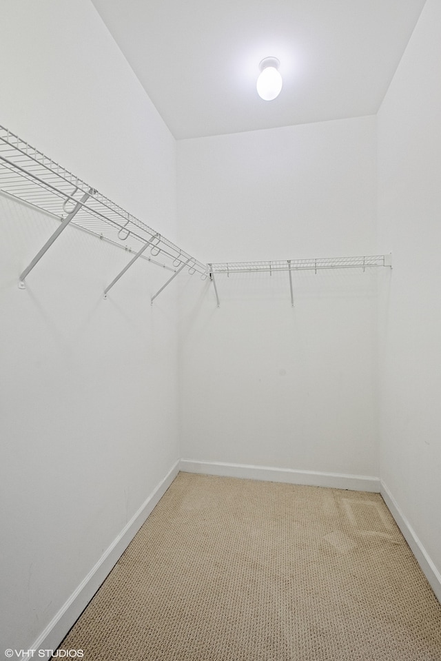 walk in closet featuring carpet