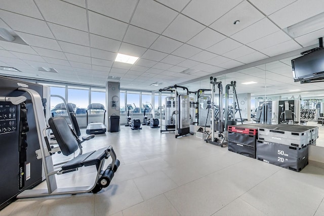 gym featuring expansive windows and a drop ceiling