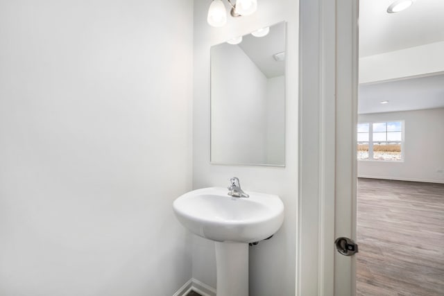 bathroom featuring wood-type flooring