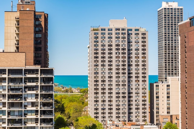 1320 N State Pkwy Unit 14-15Cd, Chicago, IL 60610 - city view featuring a nearby body of water