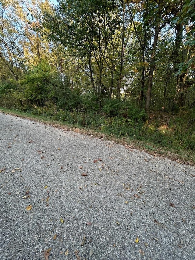 138 Lake Thunderbird Dr, Putnam, IL 61560
