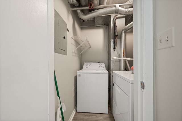 laundry area with washer and dryer, electric panel, and light hardwood / wood-style flooring