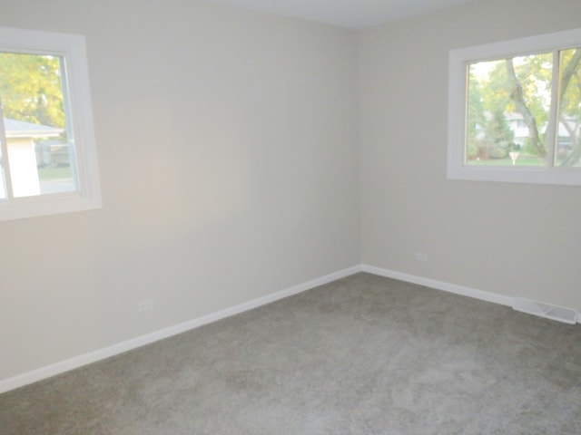 carpeted spare room featuring a wealth of natural light