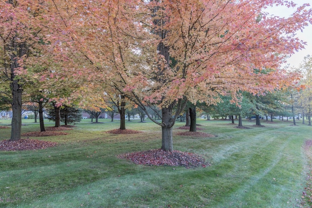 view of home's community featuring a yard