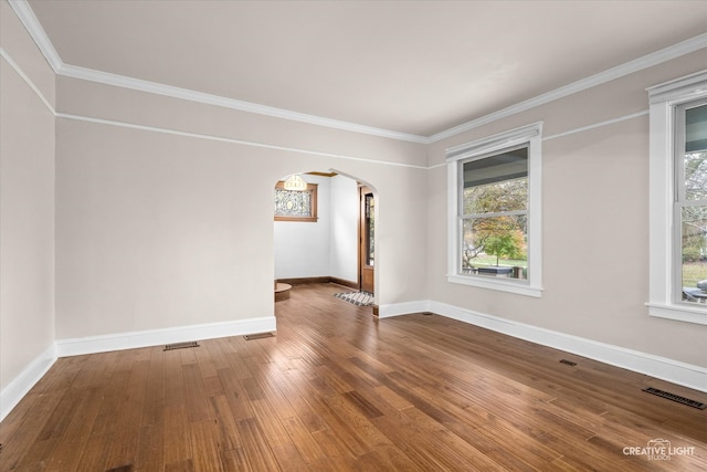 spare room with ornamental molding, a wealth of natural light, and wood-type flooring