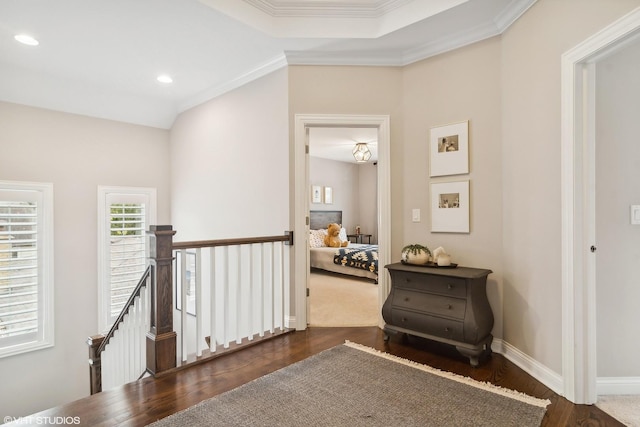 hallway with ornamental molding and dark hardwood / wood-style flooring