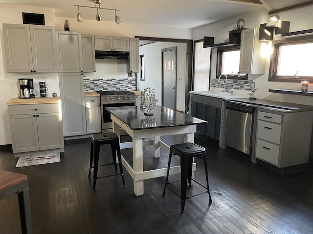 kitchen with decorative backsplash, stainless steel appliances, dark hardwood / wood-style floors, and sink