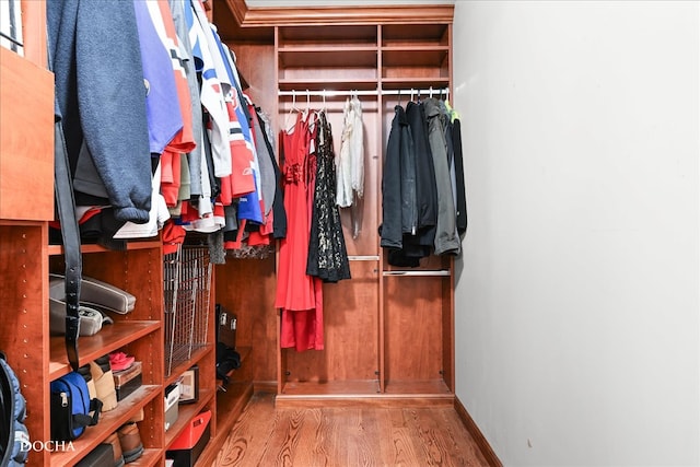 walk in closet with wood-type flooring