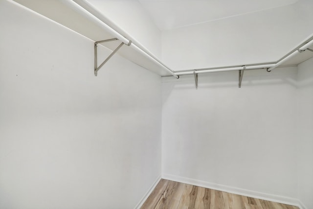 spacious closet featuring light hardwood / wood-style floors