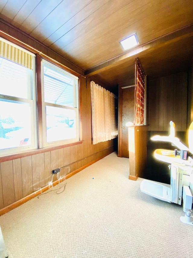 interior space featuring wood walls, wooden ceiling, and a wealth of natural light