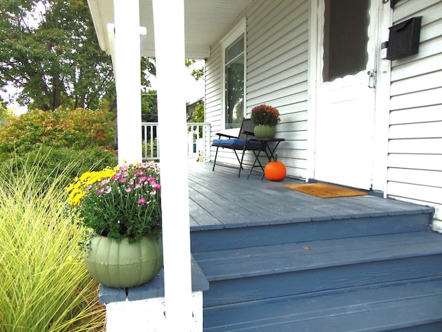 wooden terrace with a porch