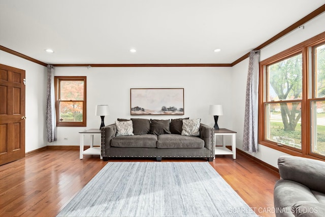 living room featuring hardwood / wood-style floors and ornamental molding