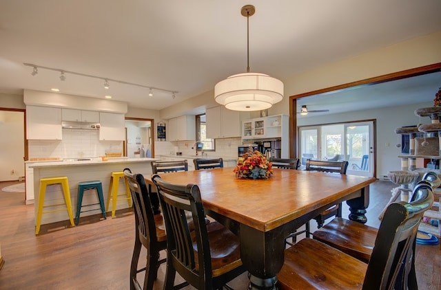 dining space with light hardwood / wood-style flooring and ceiling fan