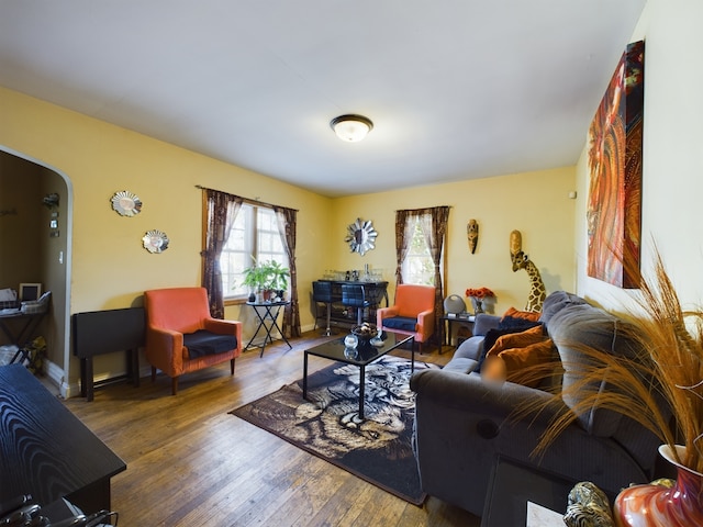 living room with hardwood / wood-style flooring