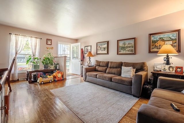 living room featuring wood-type flooring