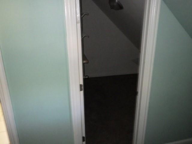 7732 S Muskegon Ave, Chicago, IL 60649 - view of closet