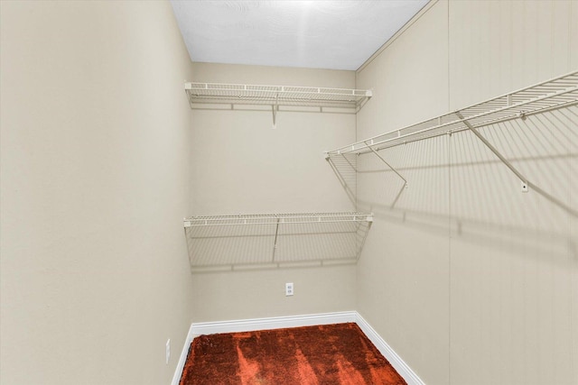 spacious closet featuring carpet floors