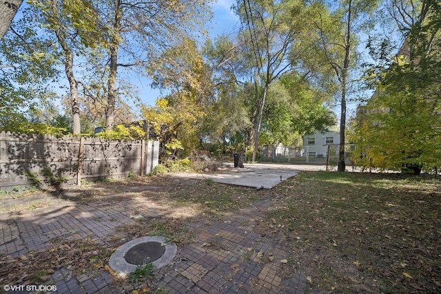 7505 S Emerald Ave, Chicago, IL 60620 - view of yard
