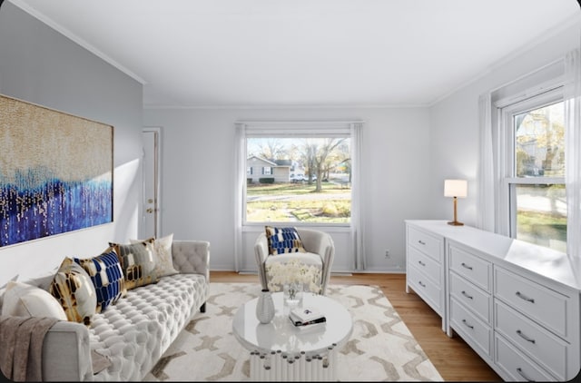 living room featuring ornamental molding and light hardwood / wood-style flooring