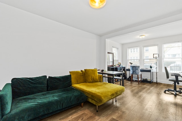 living room with wood-type flooring