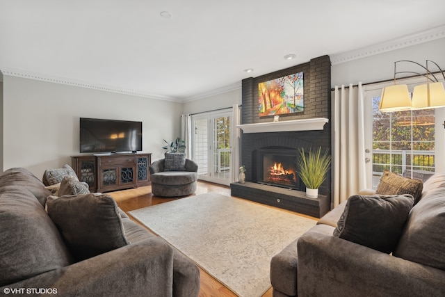 living room with crown molding, hardwood / wood-style flooring, and a fireplace