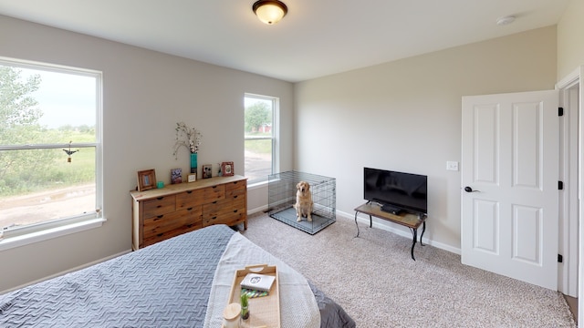 view of carpeted bedroom