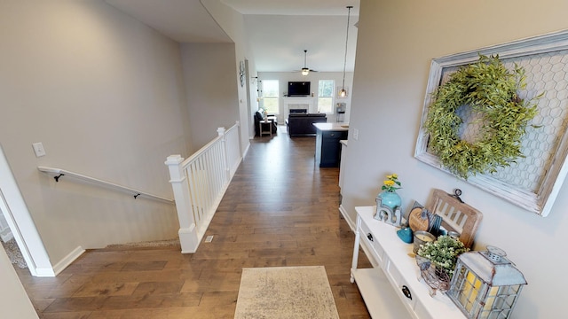 hallway featuring dark wood-type flooring