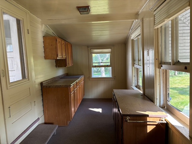 kitchen featuring dark carpet and wooden walls