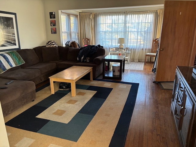 living room with dark hardwood / wood-style flooring