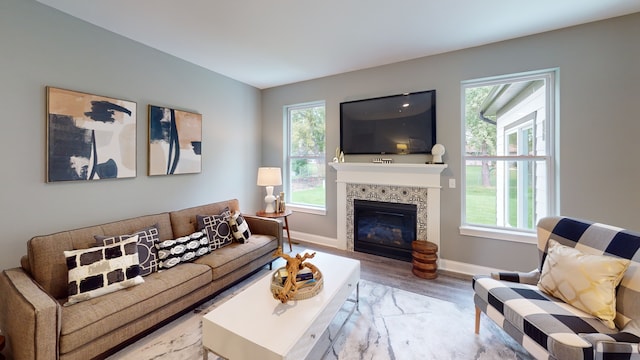 living room featuring a fireplace and wood-type flooring