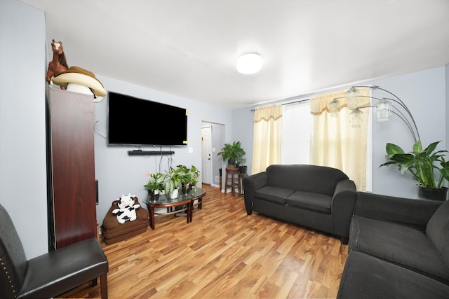 living room featuring light wood-type flooring