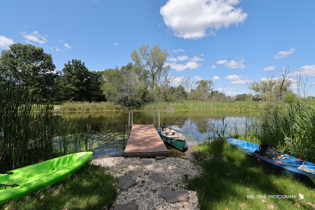 dock area with a water view