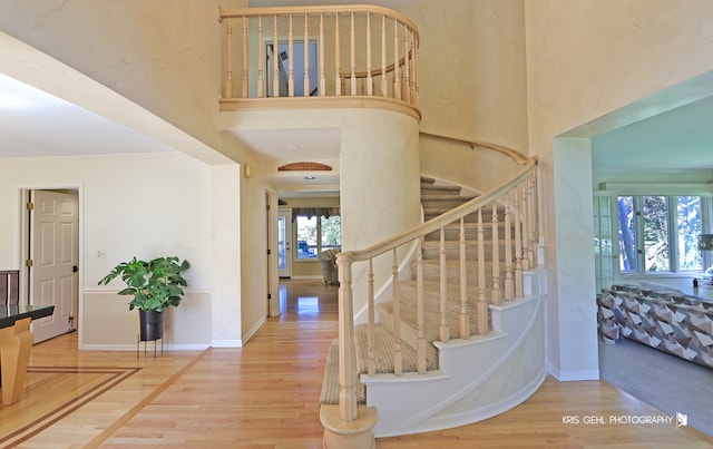 foyer featuring wood-type flooring and plenty of natural light