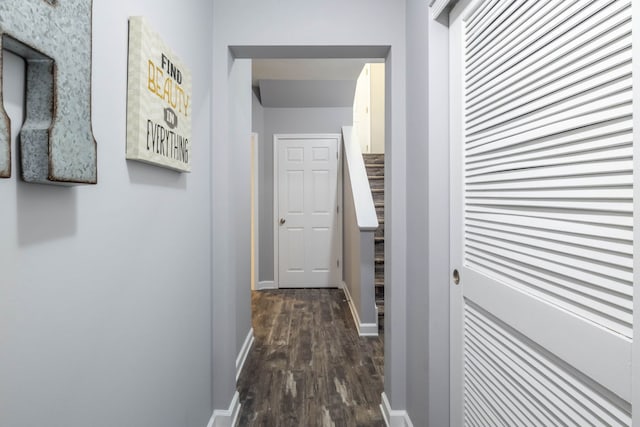 hall with dark hardwood / wood-style flooring