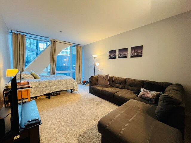 bedroom with carpet floors