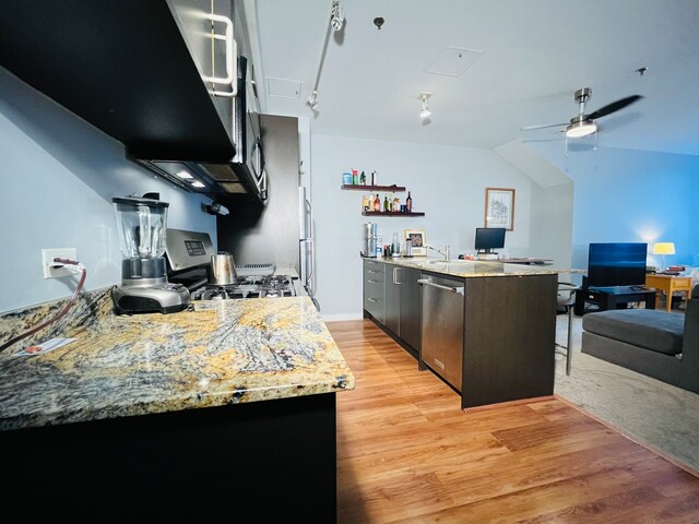 kitchen with appliances with stainless steel finishes, light hardwood / wood-style flooring, light stone counters, and ceiling fan