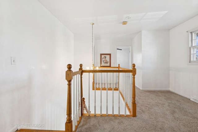 stairway with carpet flooring