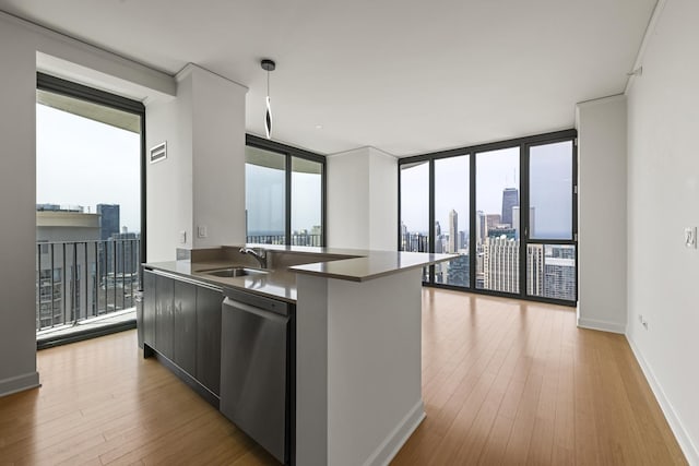 kitchen with floor to ceiling windows, dishwasher, light hardwood / wood-style floors, and sink