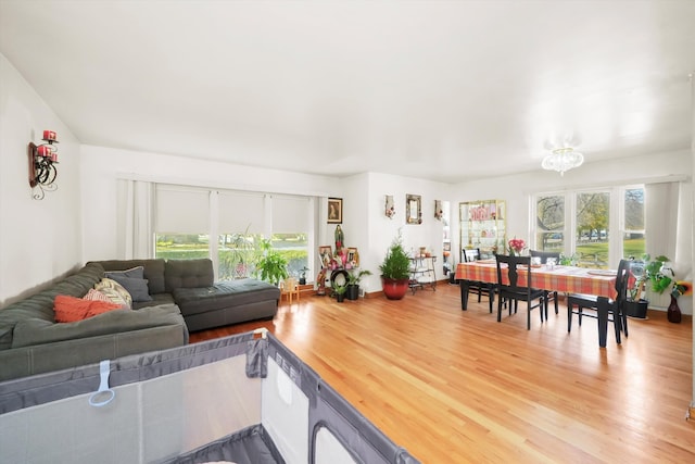 living room with hardwood / wood-style floors