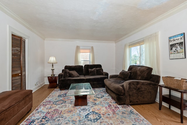 living room with plenty of natural light, ornamental molding, a textured ceiling, and light wood-type flooring