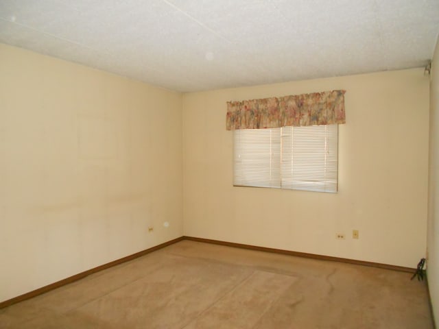 empty room featuring carpet