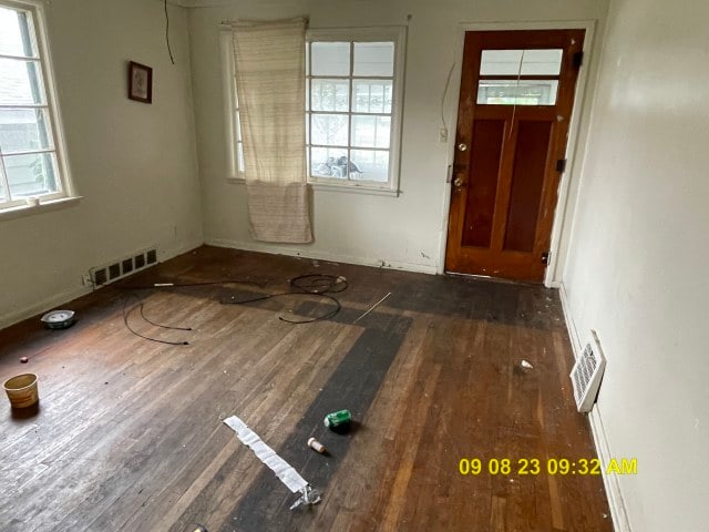 foyer featuring dark wood-type flooring and a healthy amount of sunlight