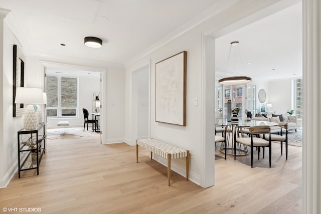 hall featuring ornamental molding and light wood-type flooring