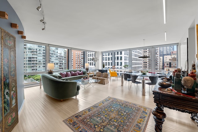 living room with floor to ceiling windows, light wood-type flooring, and rail lighting