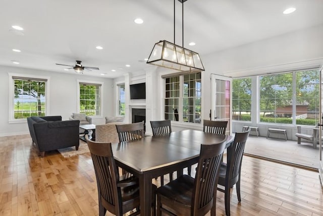 dining room with a wealth of natural light, ceiling fan, and light hardwood / wood-style floors